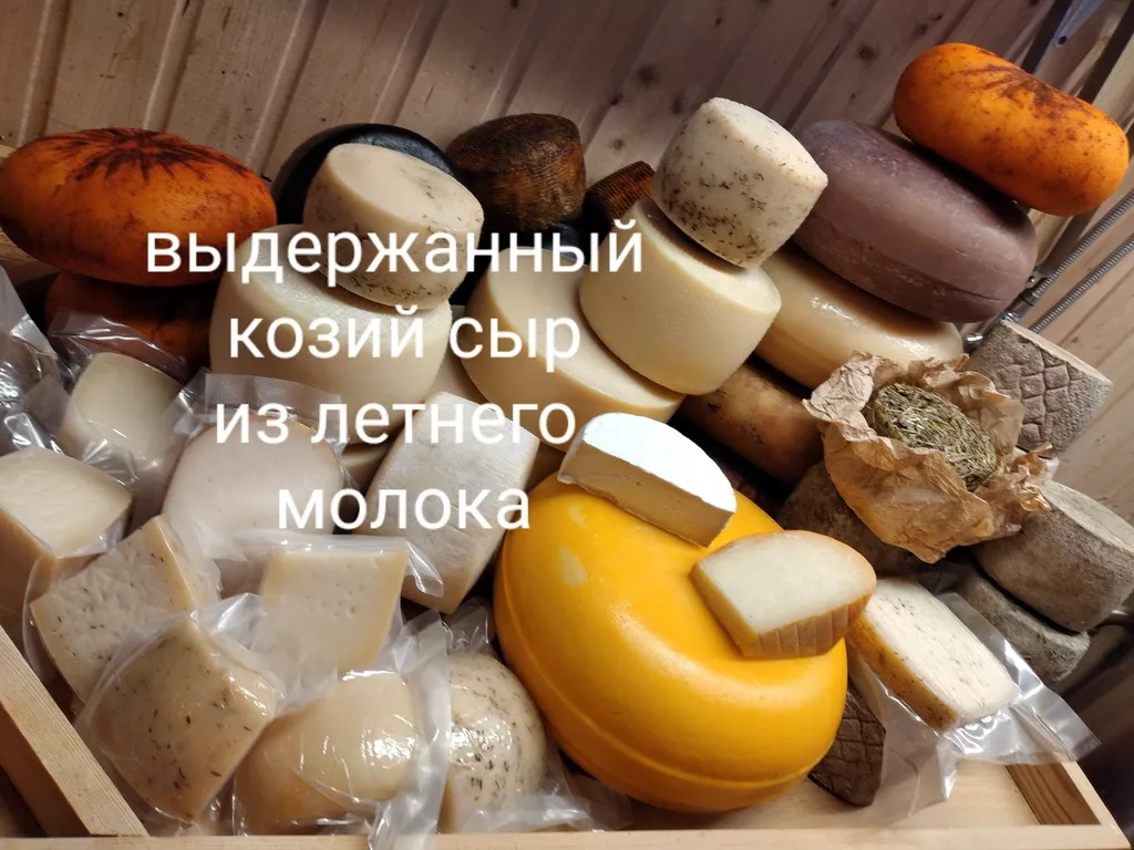 козий сыр в Ярославле и Ярославской области 2