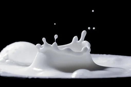 Самообеспеченность молоком в Ярославской области составляет 108,2% - Валентина Шишина