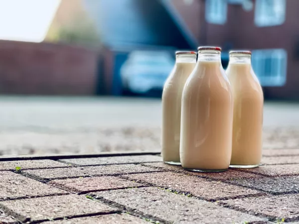 Объем производства молока в Ярославской области в 2022 году вырос на 8,6 процента